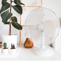 fan-buying-guide